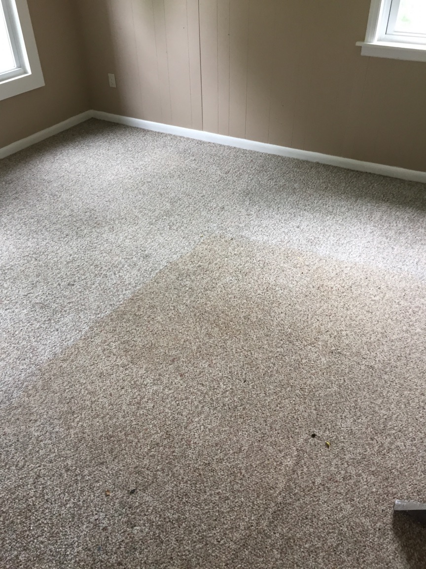 Carpet Cleaning In King OF Prussia