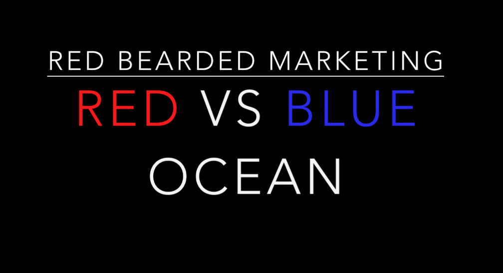 How to implement your Blue Ocean Strategy ?