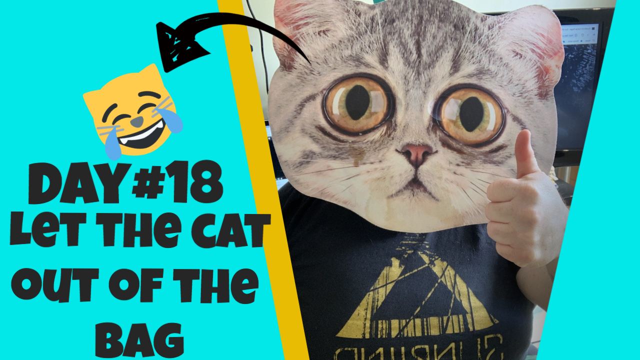 Day #18 Let the cat out of the bag on your Marketing