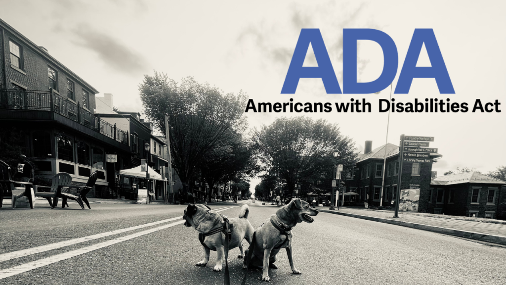 ADA Website Compliance Phoenixville PA AI Accessibility Solutions (1)